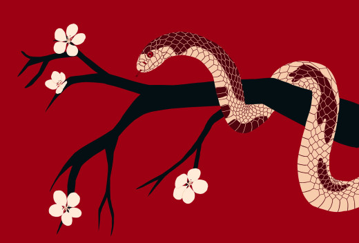 1564182 (a): :2560x1729